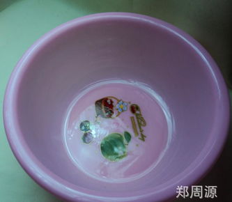創(chuàng)新設(shè)計，源頭直供 探索2元新款塑料盆在家用與批發(fā)市場的無限潛力